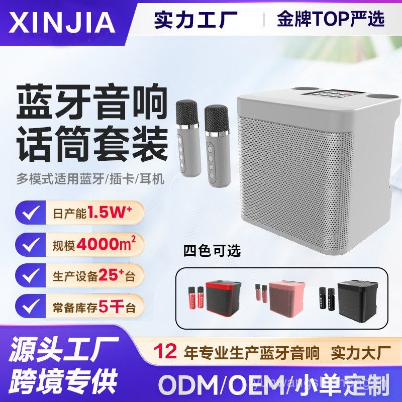 YS203KTV Family Set Speaker with Microphone All-in-One Machine KD203 Dual Microphone Bluetooth Sing 