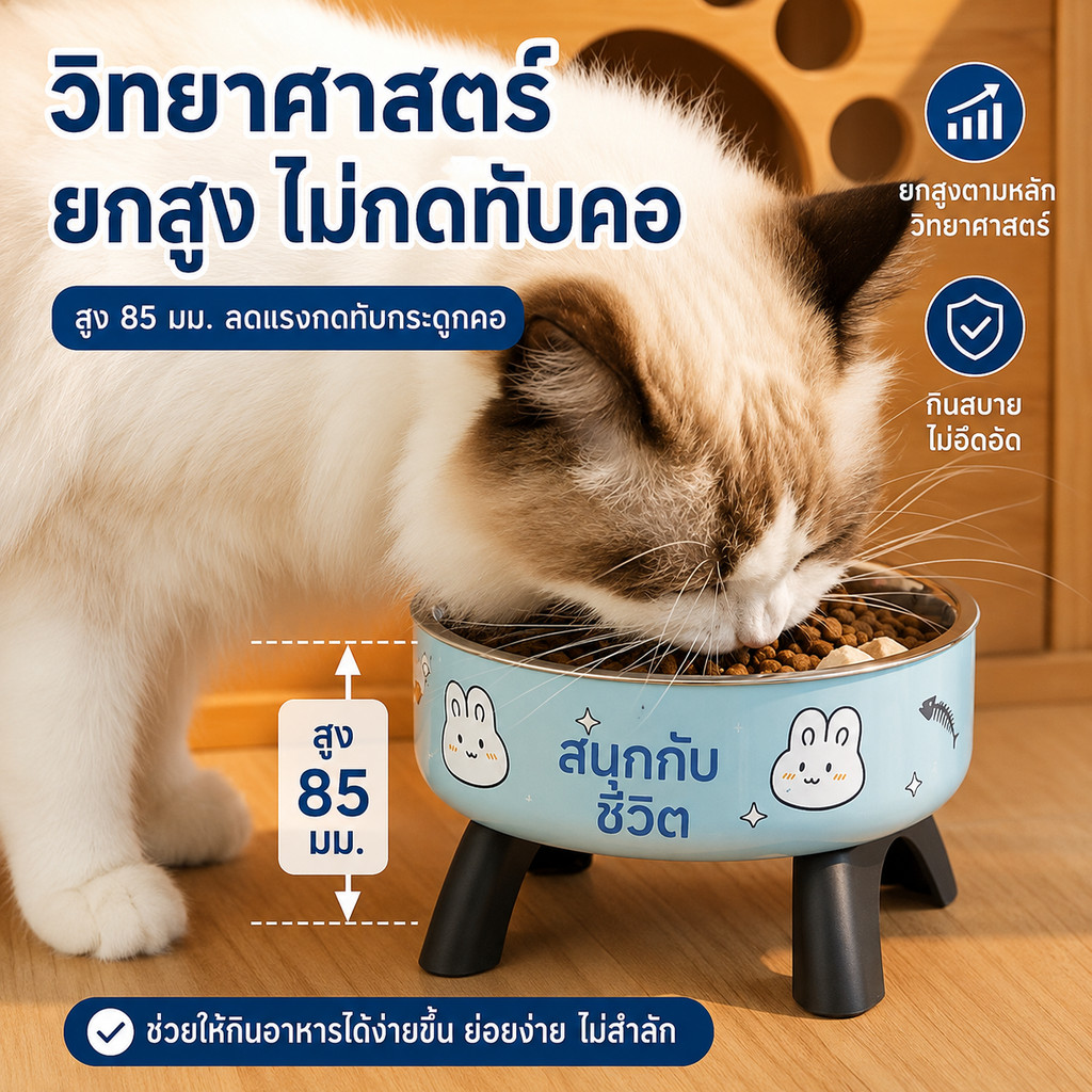 SKY ชามอาหารสัตว์เลี้ยง Enjoy Life กว้าง 14 cm ทรงสูง น้องแมว น้องหมา ชามข้าวแมว ถ้วยอาหารแมว Pet Bowl