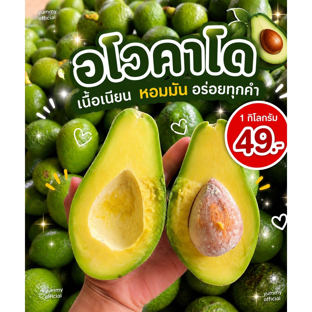M ส่งฟรี 1กิโลกรัม avocado อโวคาโด้ อโวคาโด อโวคาโด้ อโวคาโด้สด อโวคาโดสด สดจากไร่ อโวคาโด้ พื้นเมือง อะโวคาโด