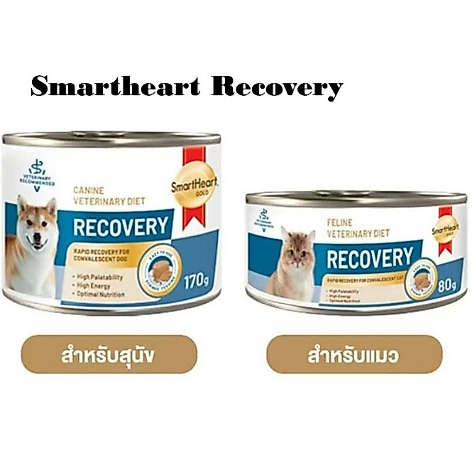 SmartHeart Gold Recovery อาหารเปียก สุนัข 170 g แมว 80g*6กระป๋อง*โปรดอ่านรายละเอียดก่อนสั่งซื้อ