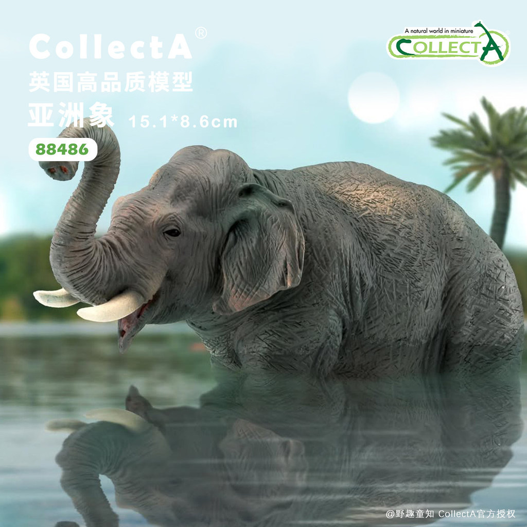 Asian Elephant/Young Asian Elephant Animal Model Toy Model