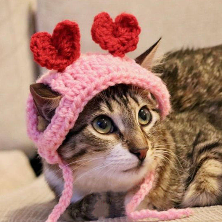 Pet Cat Hat Cute Knitting Ears Dog Funny Dirty Braid Hat Teddy British Shorthair Funny Crossdressing