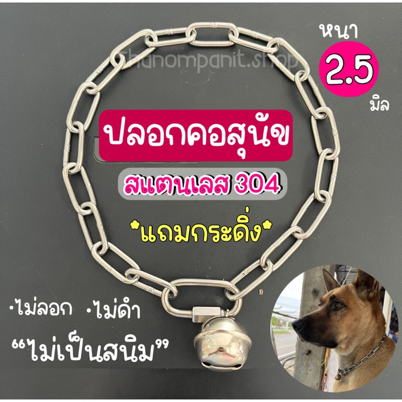 (2.5มิล-สแตนเลส+กระดิ่ง) ปลอกคอหมา สแตนเลส เกรด304 ปลอคอโซ่ ไม่เป็นสนิม