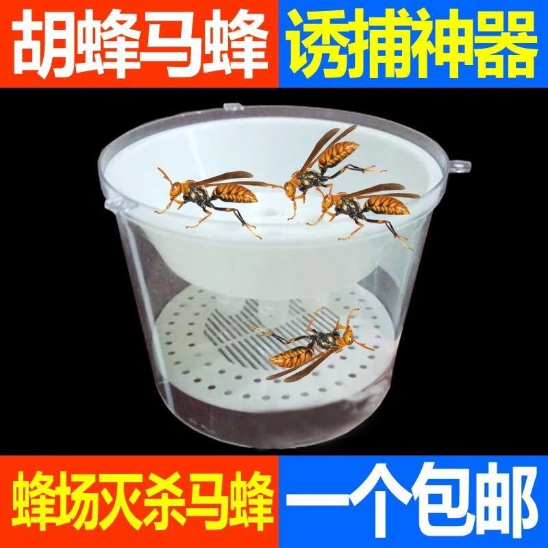 Bee Trap Bee Bag Shop Shoeandbagstore20250924