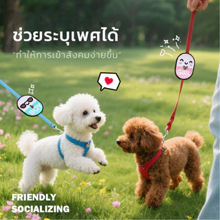 ลดล้างสต็อก ป้ายติดสายจูงสัตว์เลี้ยง แท็กติดสายจูง สุนัข แมว ระบุเพศ ป้ายเตือนต่างๆ หลายลาย น้ำหนักเบา ติดตั้งง่าย PU173