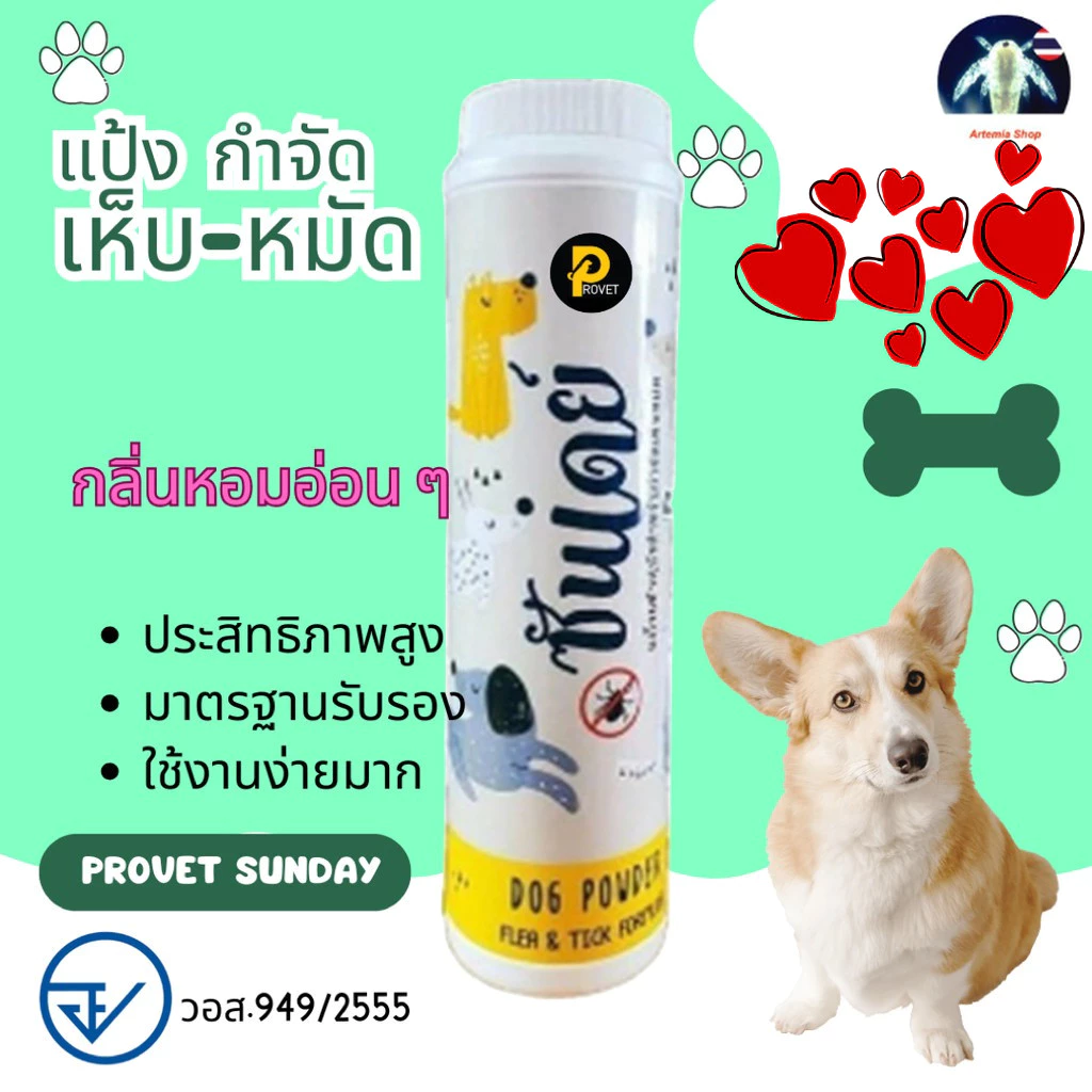 แป้งหอม Sunday Dog Powder กำจัด เห็บ หมัด สำหรับน้องหมา อย วอส 949/2555