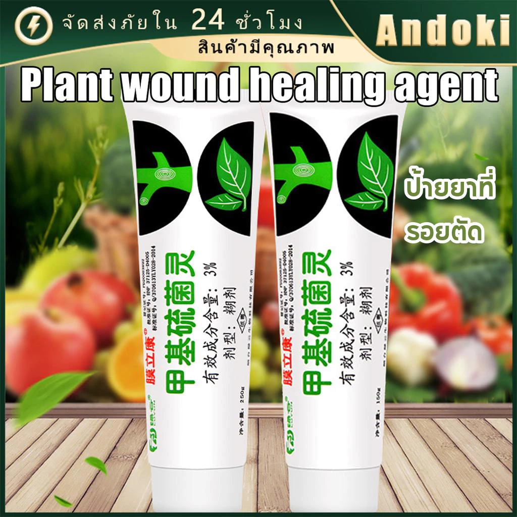 ยาทาแผลต้นไม้ 150g ป้องกันเชื้อรา ยาต้นไม้ สำหรับไม้ด่าง บุษราคัม เสน่จันทร์ กระบองเพรช บอนไซ