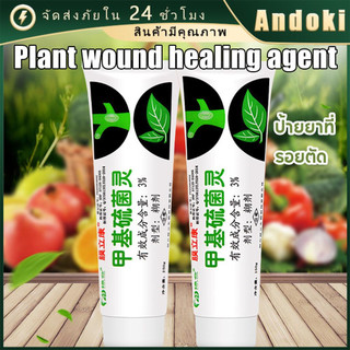 ยาทาแผลต้นไม้ 150g ป้องกันเชื้อรา ยาต้นไม้ สำหรับไม้ด่าง บุษราคัม เสน่จันทร์ กระบองเพรช บอนไซ