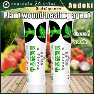 ยาทาแผลต้นไม้ 150g ป้องกันเชื้อรา ยาต้นไม้ สำหรับไม้ด่าง บุษราคัม เสน่จันทร์ กระบองเพรช บอนไซ