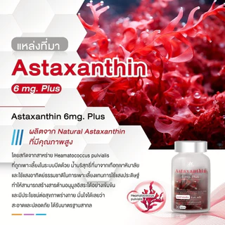 Benja oil Astaxanthin 6 mg. Plus เบญจออยล์ แอสต้าแซนธิน ( 1 ขวด 30 แคปซูล )