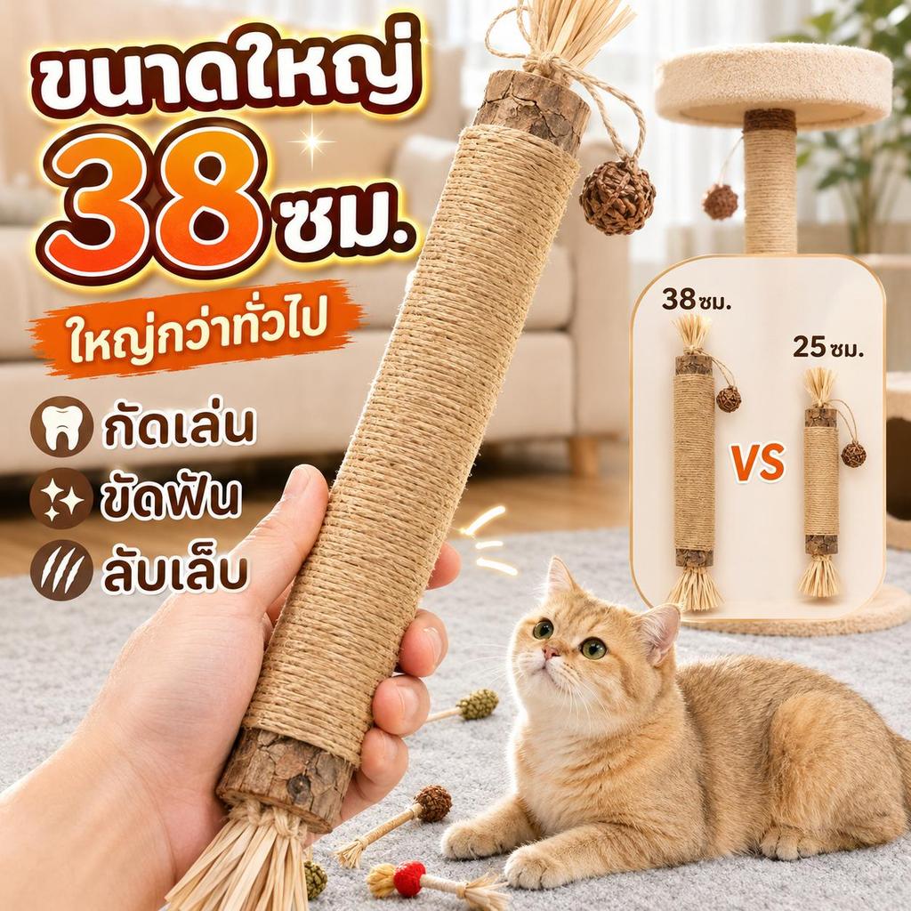 【PetZap】ไม้มาทาทาบิสำหรับแมว ของเล่นแมวขัดฟัน ลดเครียด แก้เบื่อ แมวเล่นเอง พร้อมส่ง COD CW-009