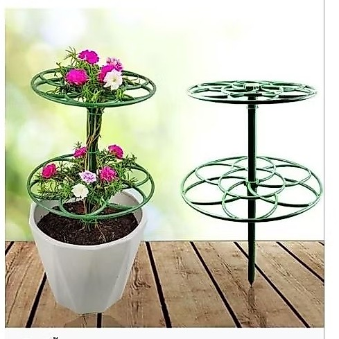 โครงไม้เลื้อยพลาสติก สวนพาสติกกิ่งคุณนายตื่นสายแพรเซี่ยงไฮ้
