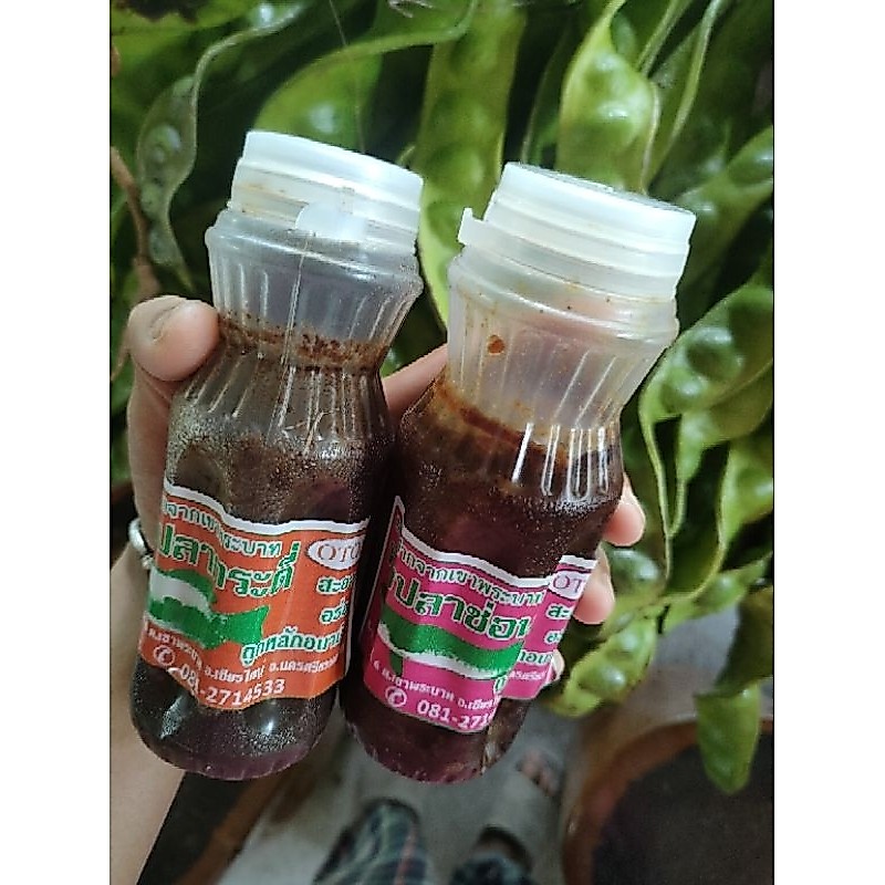 ไตปลาช่อน+ไตปลาขี้ดี แพ็คคู่ความอร่อยแกง
