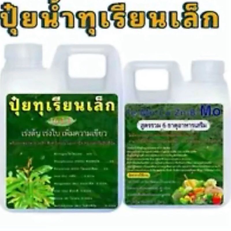 ปุ๋ยทุเรียนเล็ก แตกยอดไวใบเขียวนาน