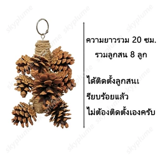 ของเล่นนกแก้ว เมล็ดสนธรรมชาติ ลูกสน ติดไว้ในกรงได้ ของเล่นหัดกัดแทะ เคี้ยวเล่น