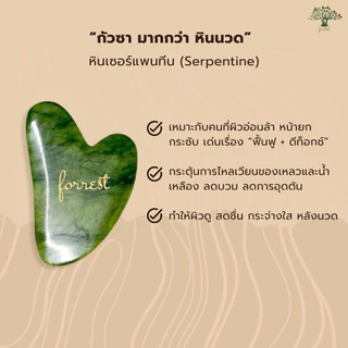 💟ของแท้ | ส่งเร็ว💟 Forestal ฟอร์เรสท์ กัวซา Jade Gua Sha