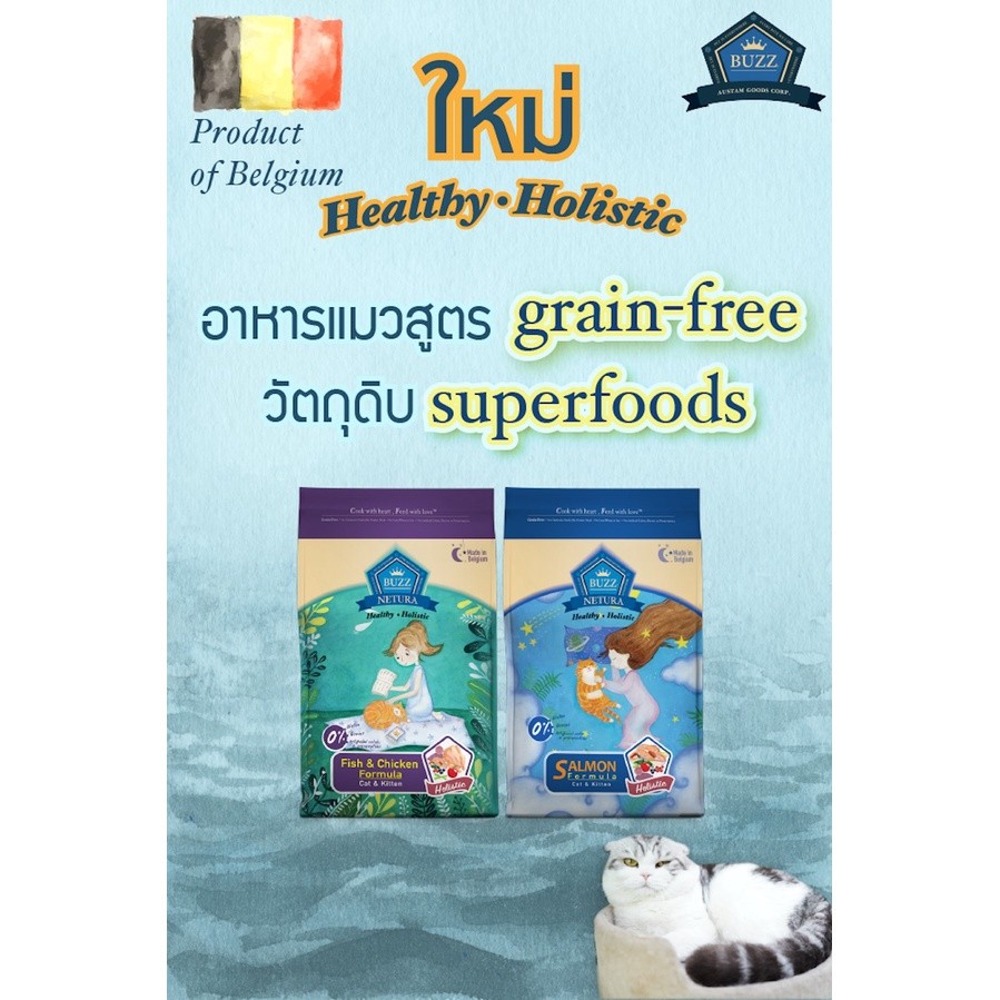 Buzz Holistic Cat Food อาหารแมวแบบเม็ด ปริมาณ 4Kg