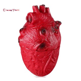 Chuangtfx03 อุปกรณ์ประกอบฉากหลอกฮาโลวีนหัวใจปลอมชุดชิ้นส่วนส…
