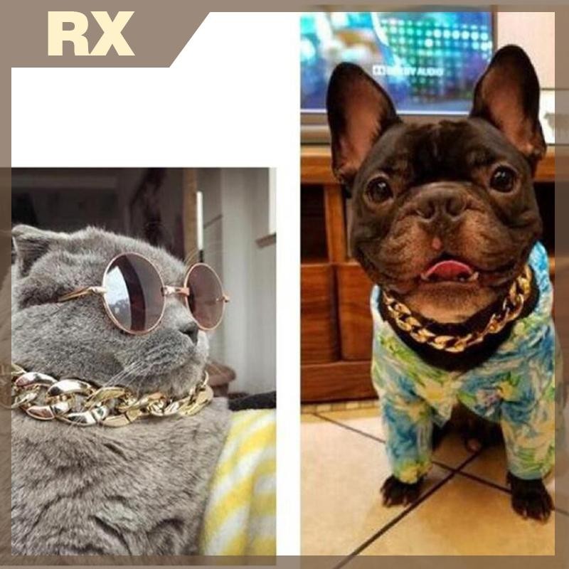 Null 1 PC Gold ปรับสุนัขแมวสร้อยคอทองสําหรับสุนัขลูกแมวอุปกรณ์สัตว์เลี้ยง null