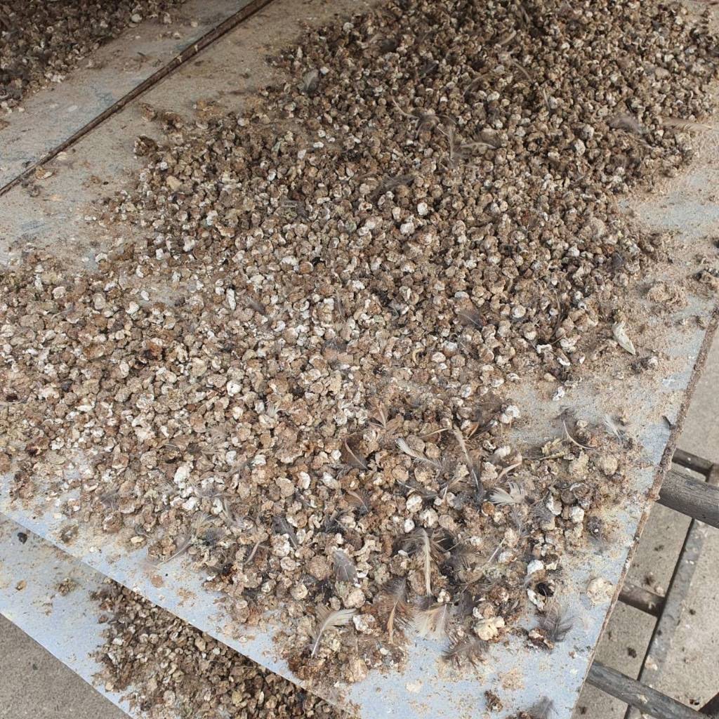 ขี้นกกระทาแห้ง 900 กรัม ธาตุอาหารสูง ไม่ผสมดิน ช่วยให้ผักเขียวสด ขี้จากนกกระทาตากแห้ง - รูปที่ 3