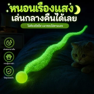 Luminous Caterpillar ของเล่นแมว,หนอนตุ๊กตายาว 24 ซม.พร้อมลูกบอลเรืองแสงยืดหยุ่น 2.4 ซม., Interactive Self Play ลูกแมวไล่ของเล่น