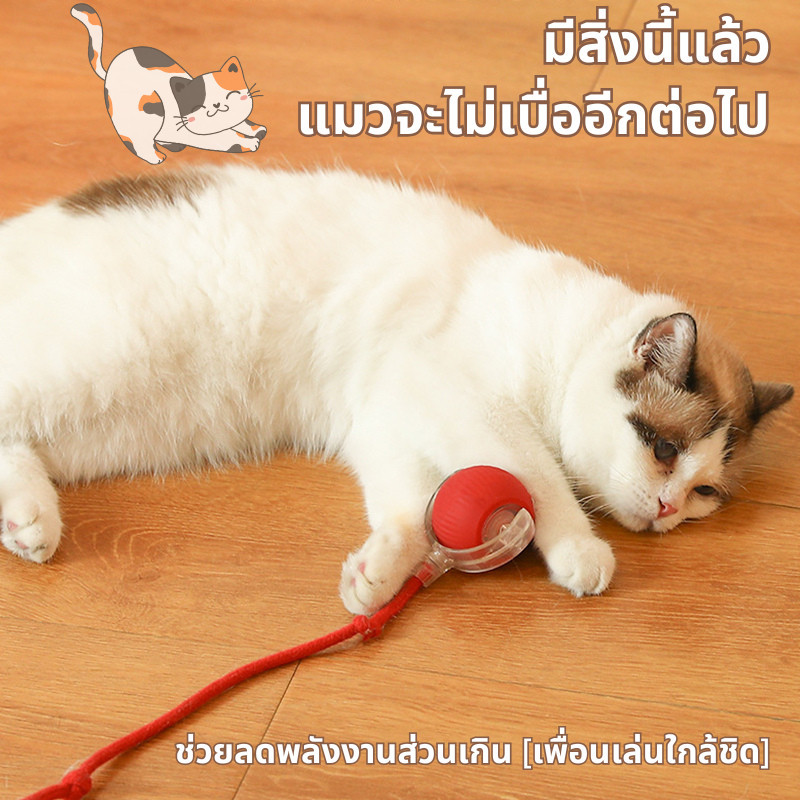 🐾ลูกบอลกลิ้งไฟฟ้าอัตโนมัติ ของเล่นแมวโต้ตอบ Ball ของเล่นแมว ลูกบอลอัตโนมัติ กลิ้งเองได้ ลูกบอลแมว - รูปที่ 4