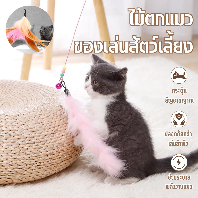 😻COD🐾ไม้ตกแมว ของเล่นแมว ไม้แมว ไม้ล่อแมว ขอเล่นแมว ของเล่นเเมว