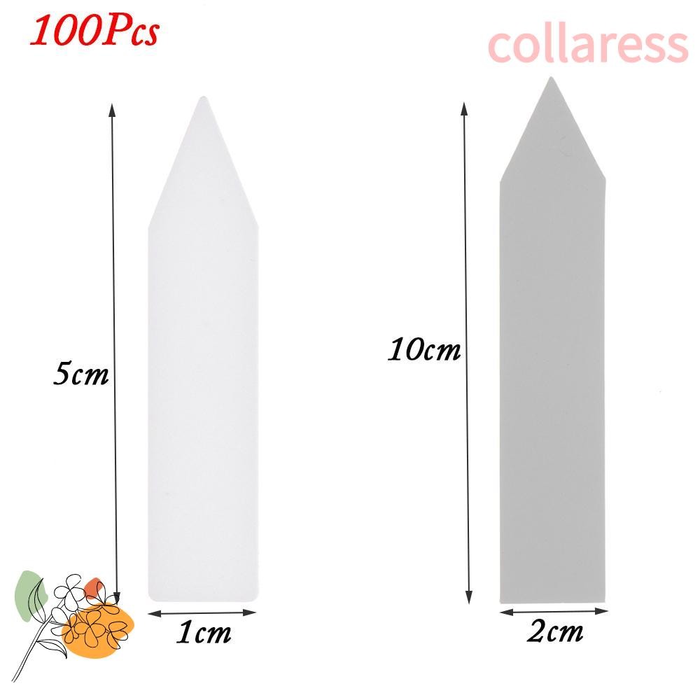 COLLARESS 100 ชิ้น Nursery Pot PVC Seeds เครื่องมือทําสวนเรือนกระจกแบบใช้ซ้ําได้