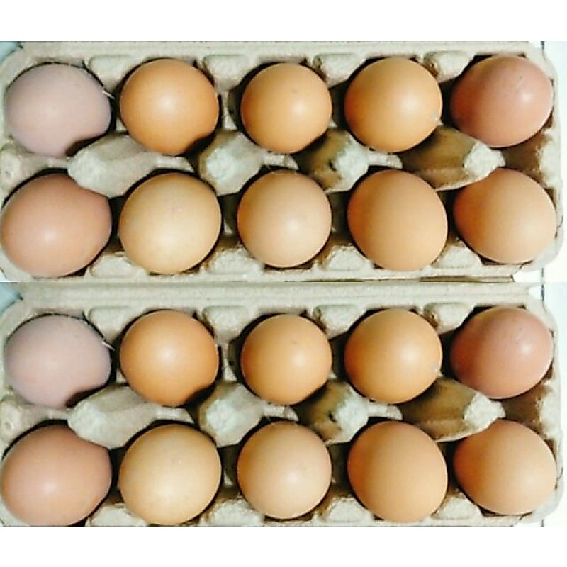 🐣🐣ไข่ไก่จากแม่ไข่อารมณ์ดี 1 แพค20 ฟอง