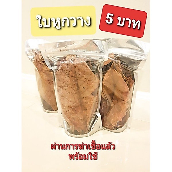 ใบหูกวาง ฆ่าเชื้อ พร้อมใช้สำหรับปลากัด 5 บาท!! 12 ใบ
