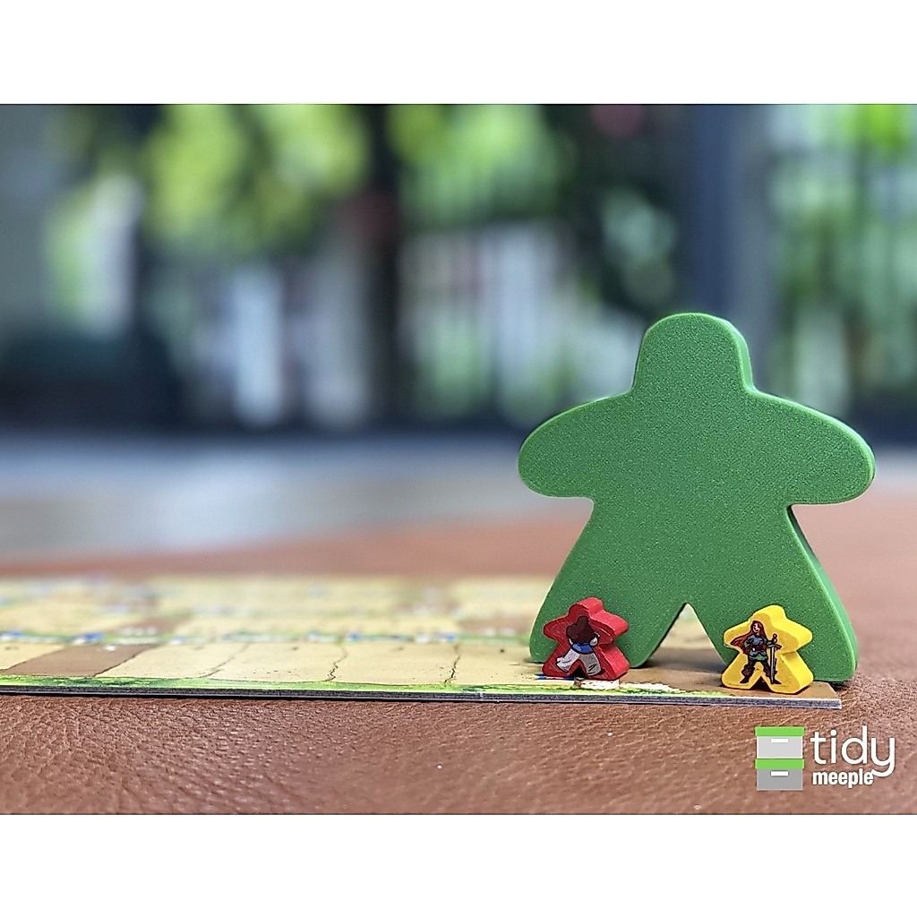 Tidy Insert สำหรับเกม Carcassonne