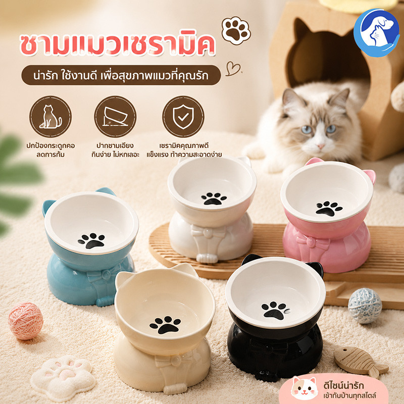 ชามอาหารแมว 2in1 ชามน้ำแมว ชามอาหารแมวเซรามิก แบบเอียง ชามแมวยกสูง สําหรับสัตว์เลี้ยง