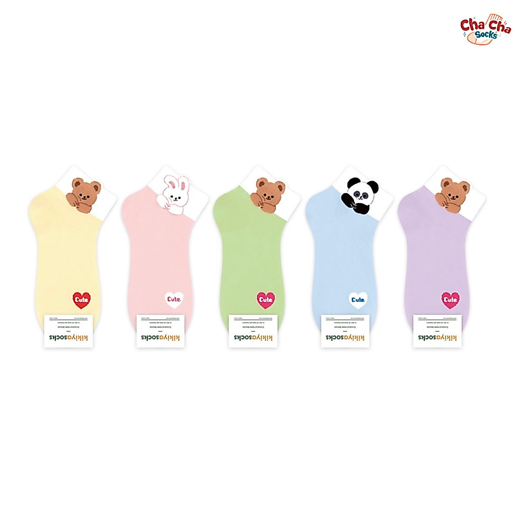 Chacha socks - ถุงเท้าข้อสั้น Cutie Bear middle socks แบรนด์ kikiya ถุงเท้าเกาหลี