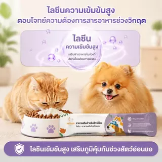 Ketzuzu 12/24 แพ็ค วิตามินแมว อาหารเสริมแมว ไลซีนโปรไบโอติกผง ช่วยเสริมภูมิและกินง่าย 14g