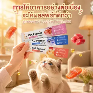 ✨Ketzuzu [365 ซอง] ขนมแมวเลีย ช่วยเจริญอาหาร บำรุงขนเงางาม ขนมแมว 16g รสรวม 5 รส อาหารเปียกแมว