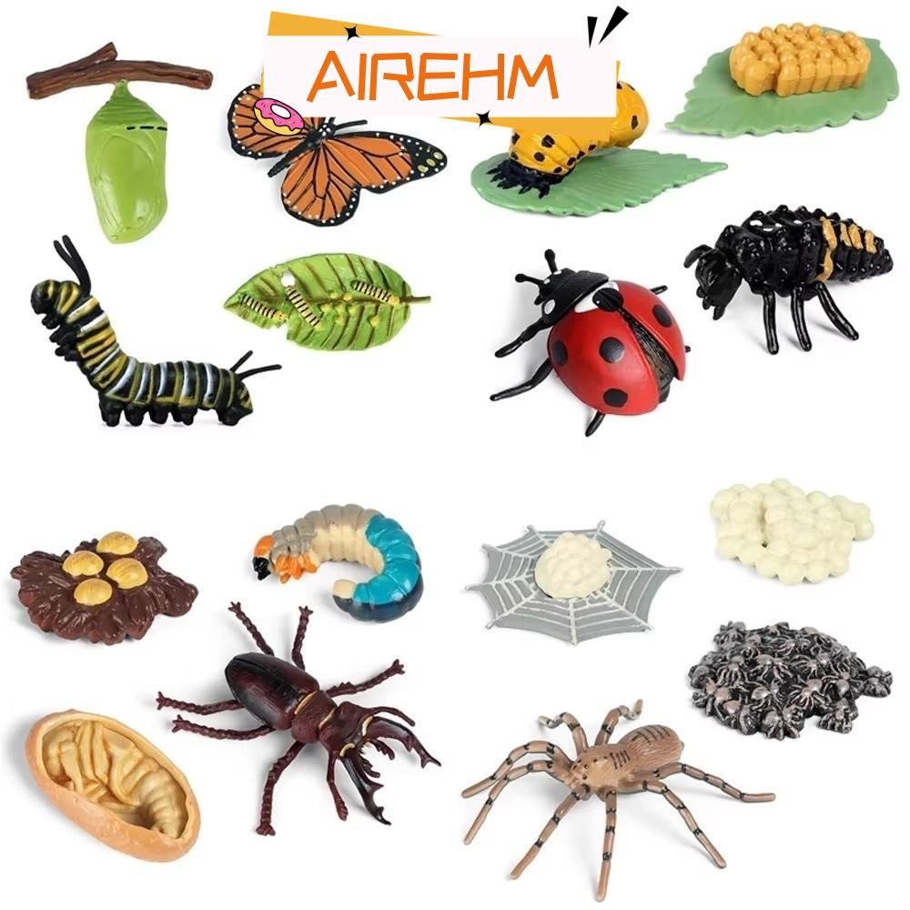 AIRE1HM 4 ชิ้น/เซ็ตสัตว์ Growth CYCLE,การศึกษา Miniature Action Figures สไตล์ Life CYCLE Figurines, 