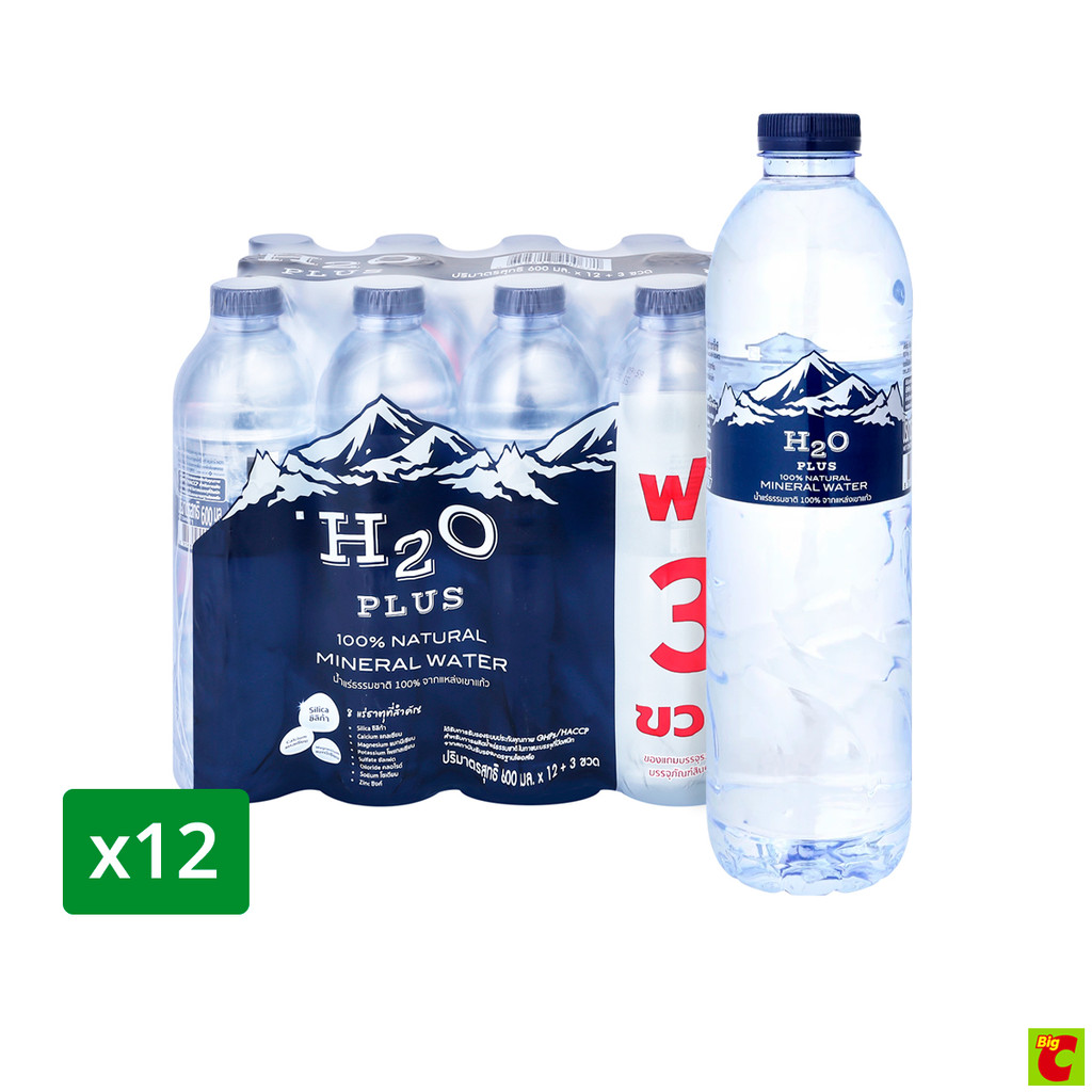 บิ๊กซี น้ำแร่ธรรมชาติ จากแหล่งเขาแก้ว 600 มล. x 12 ชิ้น (ฟรี 3ขวด)