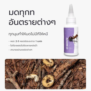 Antiant เจลกำจัดมด แอนติแอนท์ เหยื่อกำจัดมด เจลล่อมด หยดเดียวตายยกรัง 50g/30g เพิ่มปริมานขึ้น