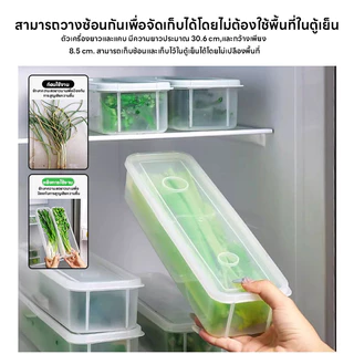 กล่องเก็บของนำเข้า กล่องเก็บอาหาร กล่องเก็บผักชีและต้นหอม สามารถเก็บผักชีและต้นหอมให้สด ป้องกันฝุ่นและความชื้น เกรดอาหาร