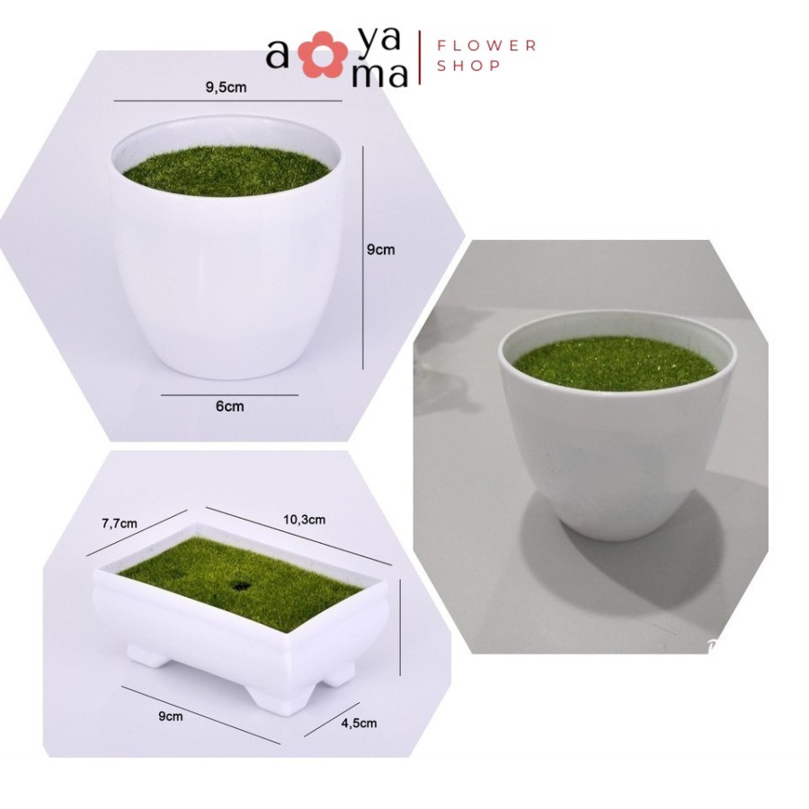 AOYAMA - พลาสติกกระถางดอกไม้