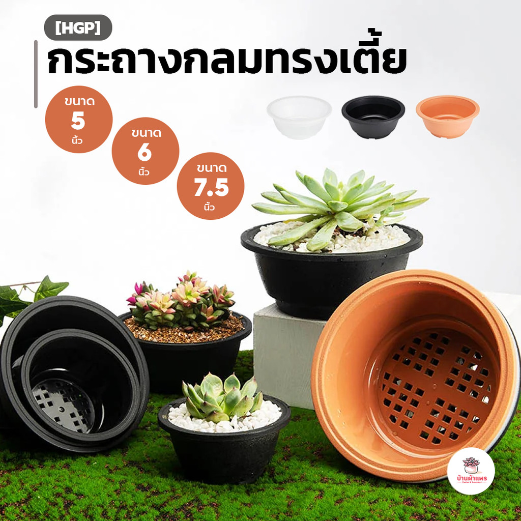 [HGP] กระถางกลมทรงเตี้ย กระถางพลาสติก แคคตัส กระบองเพชร ไม้อวบน้ำ Cactus&Succulent