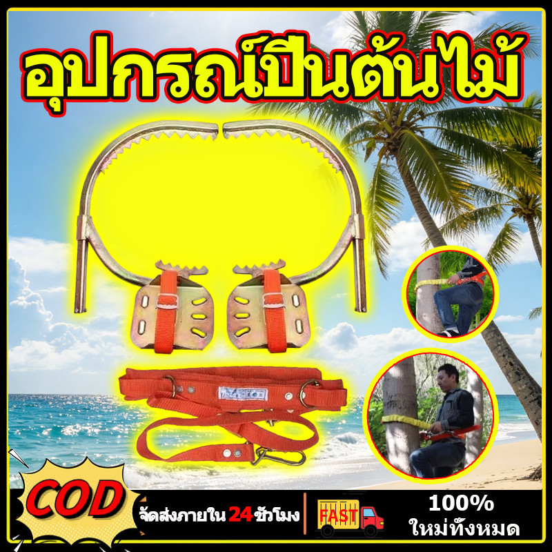 อุปกรณ์ปีนต้นไม้ รองเท้าปีนต้นไม้ ปีนเสาช่วงที่ปรับได้ การออกแบบใหม่อุปกรณ์ปีนต้นมะพร้าว/เครื่องมือปีนต้นไม้