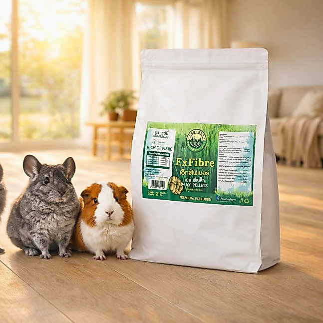 อาหารเสริมไฟเบอร์ ExFiber ใยอาหารพืชธรรมชาติ พรีไบโอติก วิตามิน สำหรับกระต่าย หนูตะเภา ชินชิลล่า 2kg