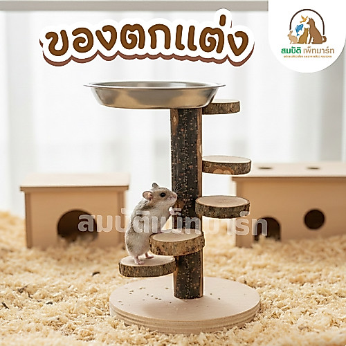 แท่นอาหารสัตว์เล็ก ไม้ธรรมชาติ พร้อมถ้วยสแตนเลส | ของตกแต่งกรง หนูแฮมสเตอร์ เม่น ชูการ์