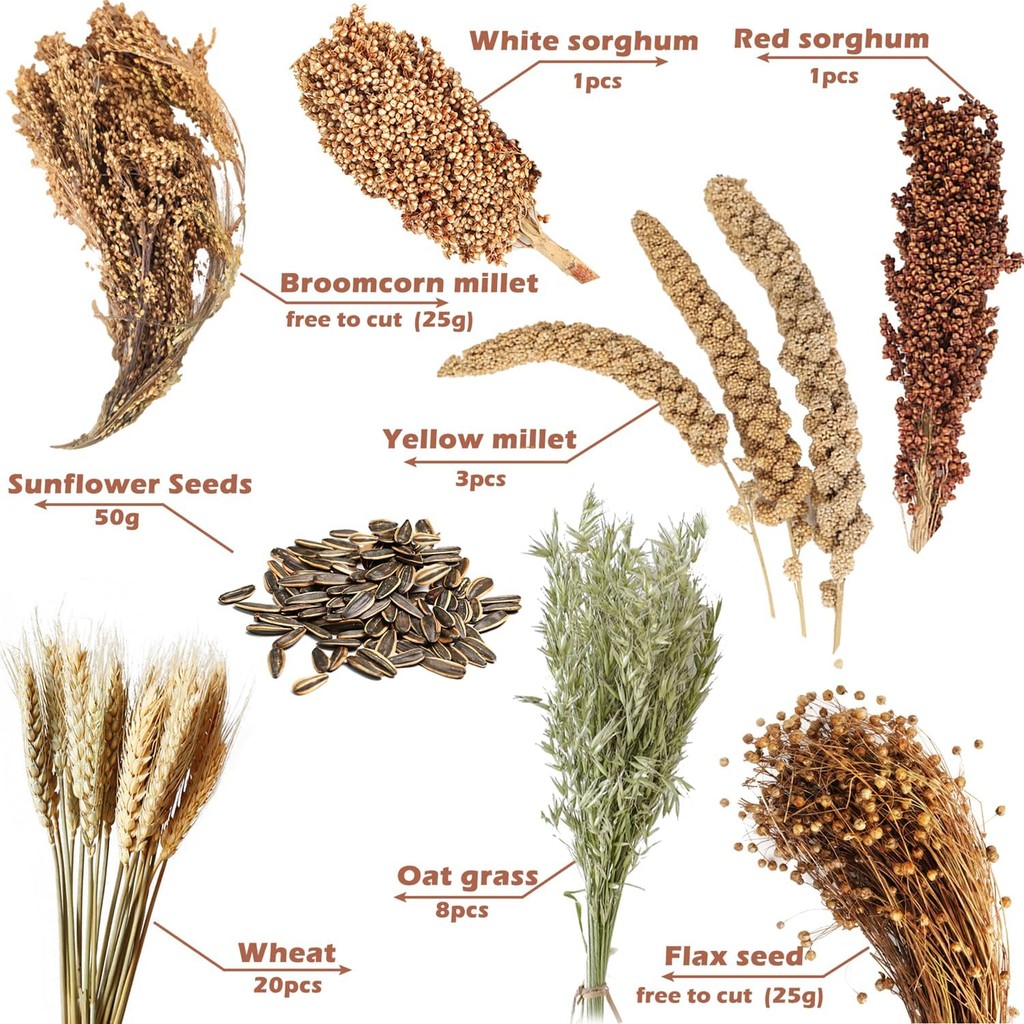 ธรรมชาติหูเมล็ดพืชดอกไม้และสมุนไพรผ้าปูที่นอน Mate Habitat Decor, เพิ่มสนุกอุปกรณ์หนูแฮมสเตอร์สําหรั