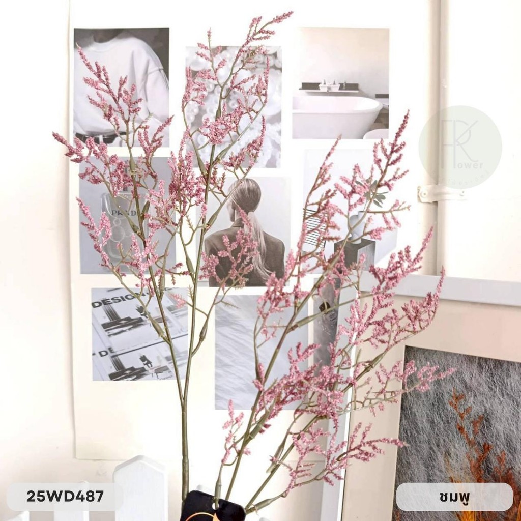 แคสเปียร์ก้านยาว 4 กิ่ง สูง 76 cm. - รูปที่ 5