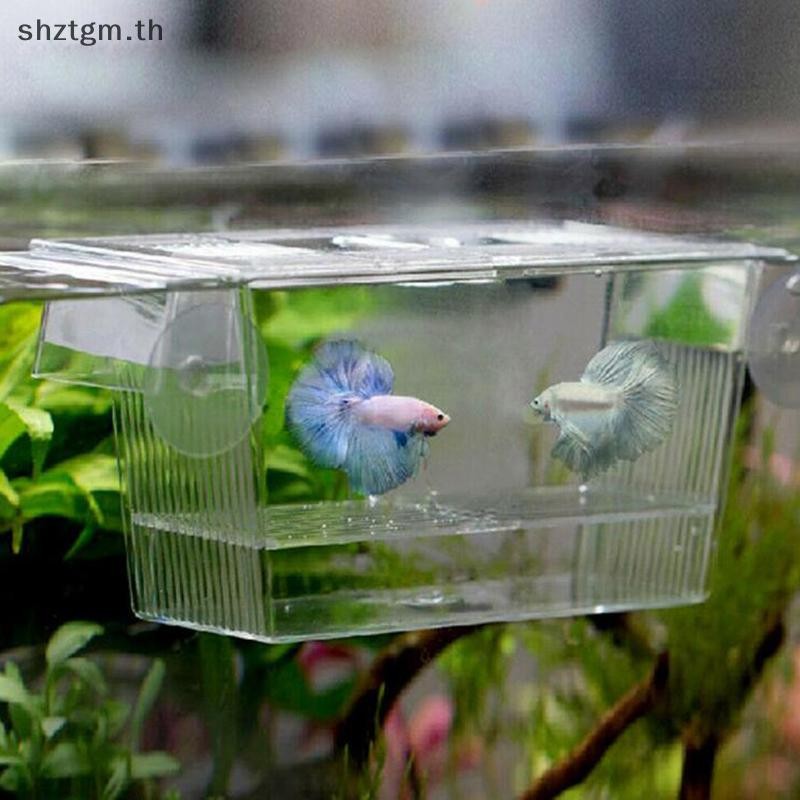 SHZTGM Aquarium Fish Tank Guppy Double Breeding Breeder Rearing Trap กล่อง Hatchery null