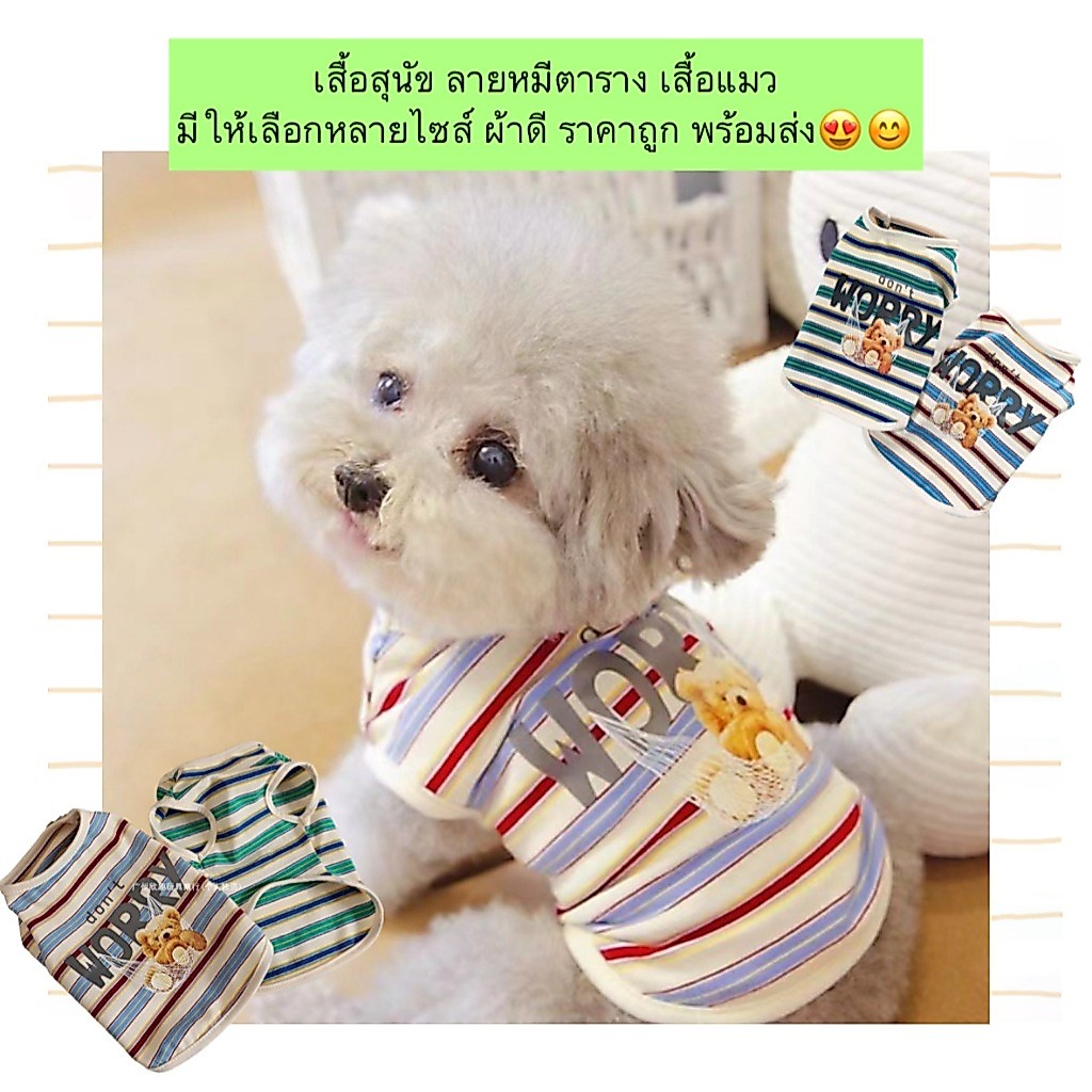 PP-680 เสื้อสุนัข ลายหมีตาราง เสื้อแมว มีให้เลือกหลายไซส์ ผ้าดี ราคาถูก พร้อมส่ง😍😊