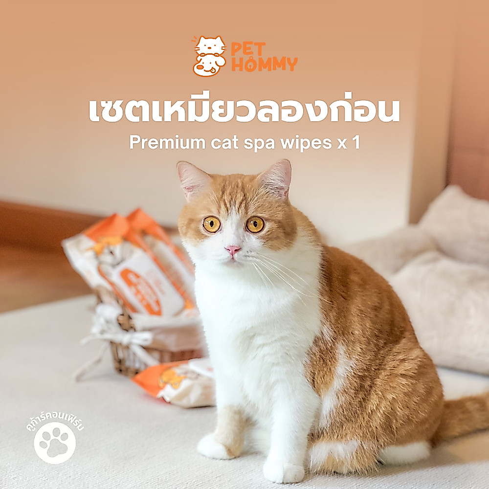 เซต 1 ซอง 𝐏𝐞𝐭 𝐇𝐨𝐦𝐦𝐲 - 𝐏𝐫𝐞𝐦𝐢𝐮𝐦 𝐂𝐚𝐭 𝐒𝐩𝐚 𝐖𝐢𝐩𝐞𝐬 ผ้าเปียกทำความสะอาดน้องแมว สูตรพรีเมียม