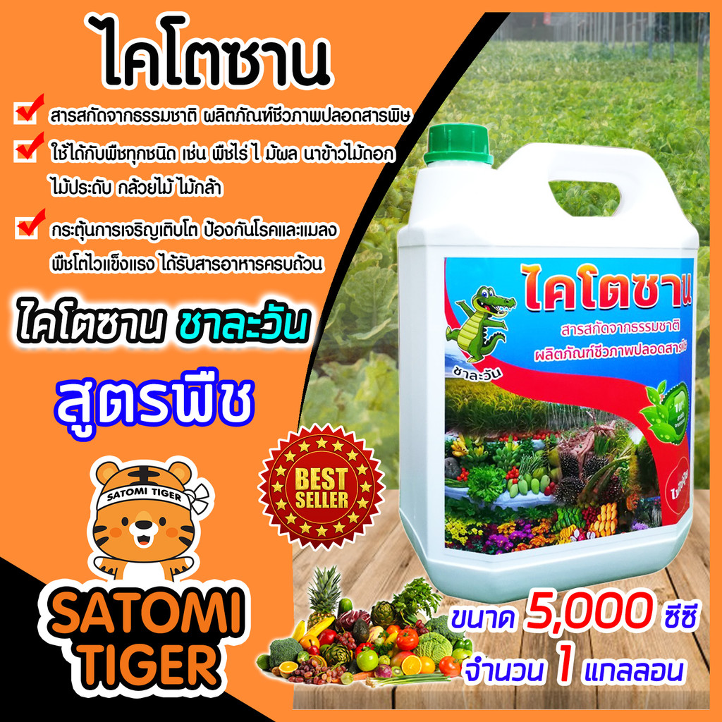 ไคโตซานสูตรพืช ขนาด 5ลิตร ชนิดน้ำ ตราชาละวัน กระตุ้นการแตกยอด ออกดอก ติดผล ป้องกันโรคพืช บำรุงราก ใบเขียวสด